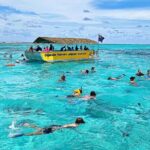 Half-Day Muri Lagoon BBQ Lunch Cruise including Snorkeling - The Food and Drink