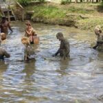 Half Day Nadi Sightseeing & Mud Pool Tour - What Travelers Are Saying