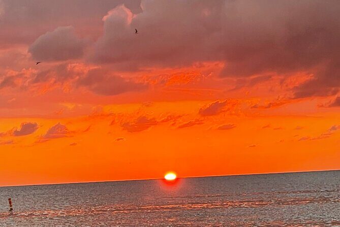 Half Day Private Fishing Trip with Site Seeing Around Anna Maria Island - The Full Breakdown of the Experience