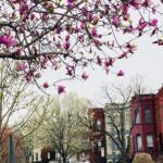 Half-Day Private Guided Bike Tour in Washington - Who Is This Tour Best For?