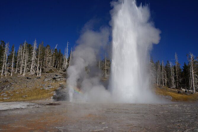 Half Day Private in Yellowstone Geyser Basin Tour - Final Thoughts: Is This Tour Worth It?