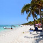 Half Day Private Snorkeling with Turtles and Majestic Cenotes - Is It Worth It?