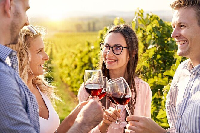 Half-Day Private Texas Hill Country Wine Tour from Austin - How This Tour Compares to Other Experiences