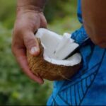 Half day Private tour of Moorea Safari Albert Pick up hotel - The Practical Side