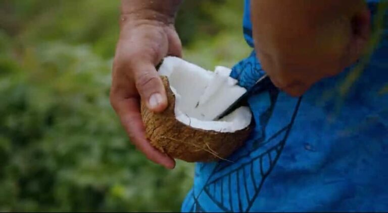 Half day Private tour of Moorea Safari Albert Pick up hotel - The Practical Side