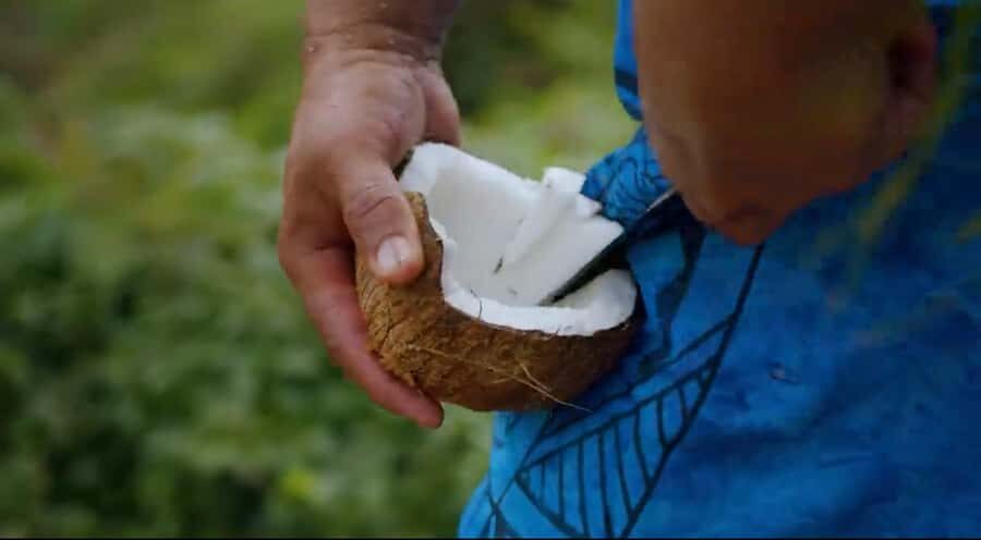 Half day Private tour of Moorea Safari Albert Pick up hotel - The Practical Side