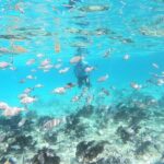 Half Day Private Tour to Islamorada Alligator Reef and Sandbar - The Experience Value