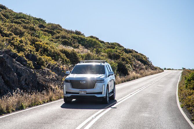 Half Day Private VIP Road to Hana Tour - The Experience and Guides