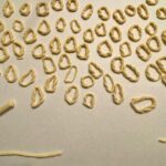 Half Day Sardinian Pasta Classes with Dining and Latin Dance - Eating and Sharing: The Food Experience