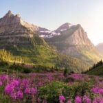 Half Day Scenic Float on the Middle Fork of the Flathead River - Who Will Love This Tour