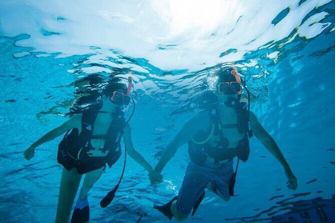 Half Day Scuba Diving Course enjoy Pool and Beach Dive Adventure - The Value of the Price