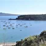 Half-Day: Small Group Auckland Scenic Tour - 4 HOURS - Why This Tour Works for You