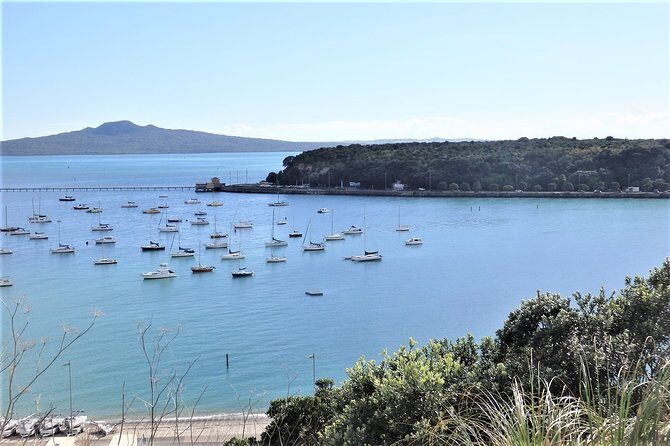 Half-Day: Small Group Auckland Scenic Tour - 4 HOURS - Why This Tour Works for You