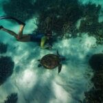 Half Day Snorkel 2.5hr Turtle Tour on the Ningaloo Reef, Exmouth - Who Will Love This Tour?