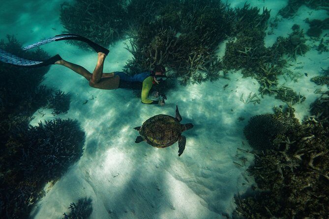 Half Day Snorkel 2.5hr Turtle Tour on the Ningaloo Reef, Exmouth - Who Will Love This Tour?