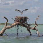 Half-Day Tour Discovering Sian Ka´an with Lunch - Who Should Consider This Tour?