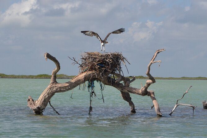 Half-Day Tour Discovering Sian Ka´an with Lunch - Who Should Consider This Tour?