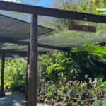 Half Day Tour in Nadi - What’s Included and What’s Not