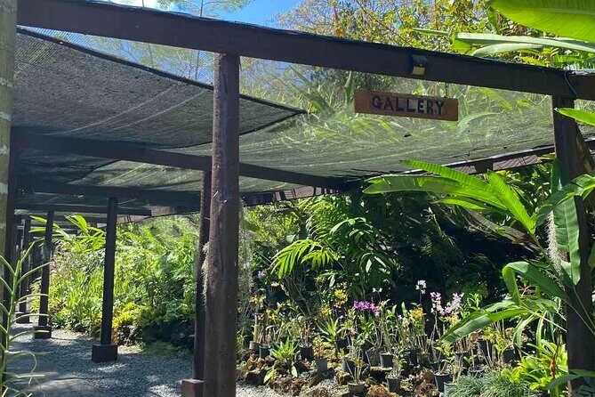 Half Day Tour in Nadi - What’s Included and What’s Not