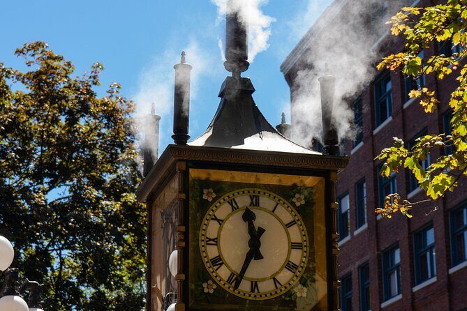Half-day Vancouver City Tour & Lookout Tower - Why This Tour Offers Good Value