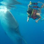 Half Day Whale Shark Tour From Playa del Carmen - Frequently Asked Questions