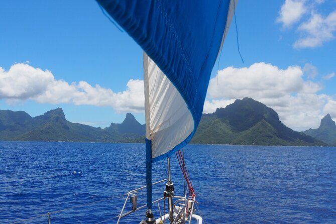 Half day whale watching - Without launch - Is This Tour Right for You?