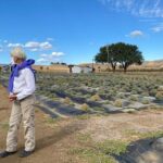 Half-day Wine and Olive Oil Tasting and Lavender Farm Tour - What’s Included and What’s Not