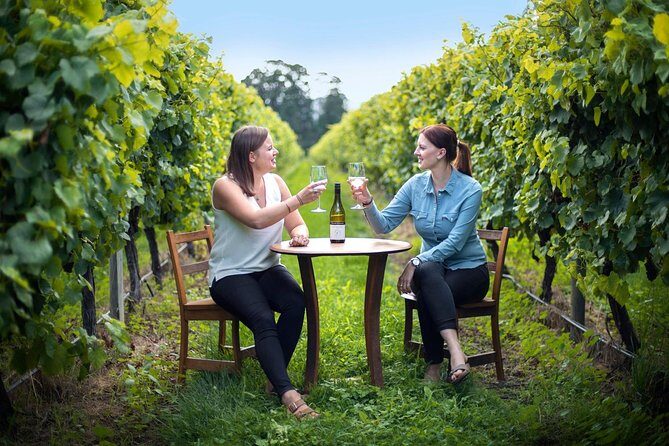 Half-Day Wine Tour from Blenheim - The Group Experience and Guides