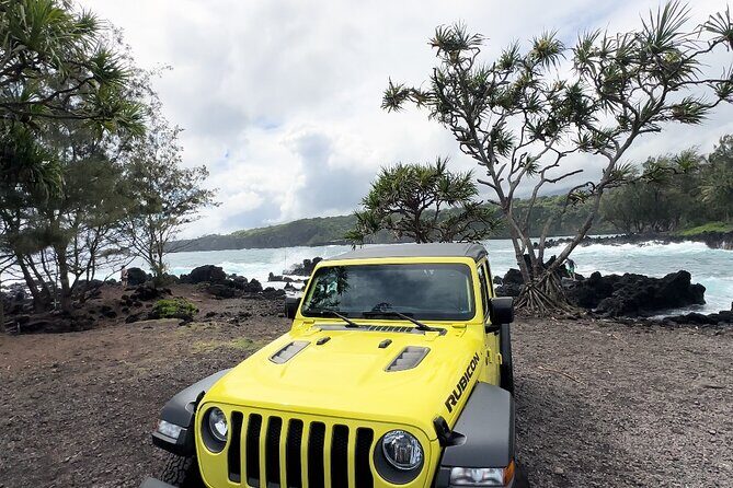 Half way to Hana Maui Open Air Jeep Private Tour - Price and Value: Is It Worth It?