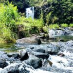 Halfway to Hana Private Tour Maui BlackBeach Waterfalls Turtles - The Itinerary Breakdown