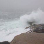 Halifax & Peggys Cove & Coastal - The Details That Matter