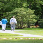 Halifax: Small Group Walking Tour with Citadel & Museum - The Waterfront and Cultural Highlights