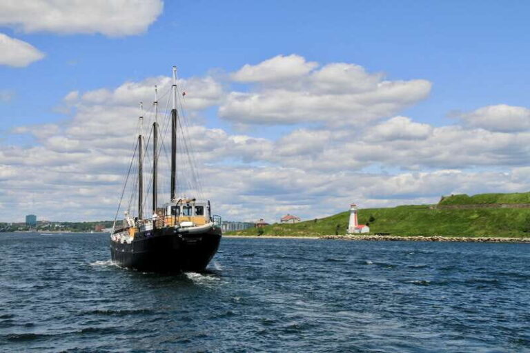 Halifax: Tall Ship Harbor Sailing Cruise with Live Music - The Sailing Experience