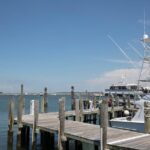 Hamptons, Sag Harbor & Outlet Shopping, 1-Day Tour from NYC - Final Thoughts