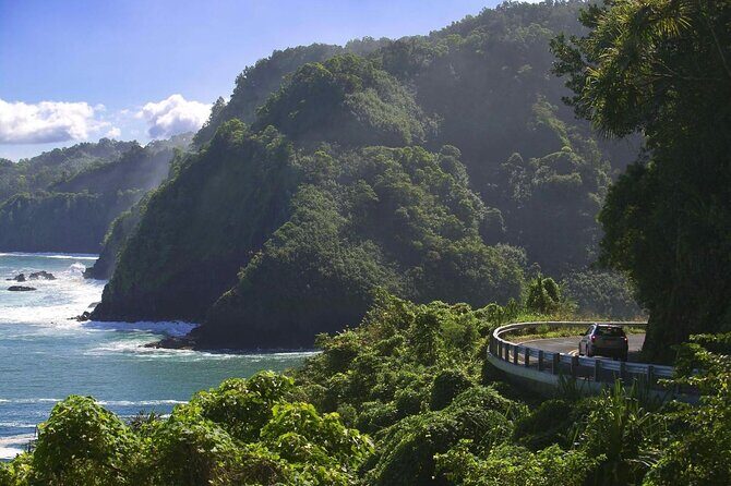 Hana Private Road Tour up to13 passengers - FAQ