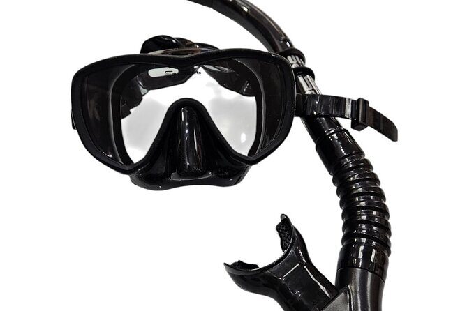 Hanauma Bay Experience with Admission Ticket and Equipment - Final Thoughts