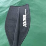 Harbor Kayak Rental in Destin, Florida - What You Can Expect from This Kayaking Experience