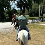 Harmony Horse Riding of Miami - The Experience Itself: A Closer Look