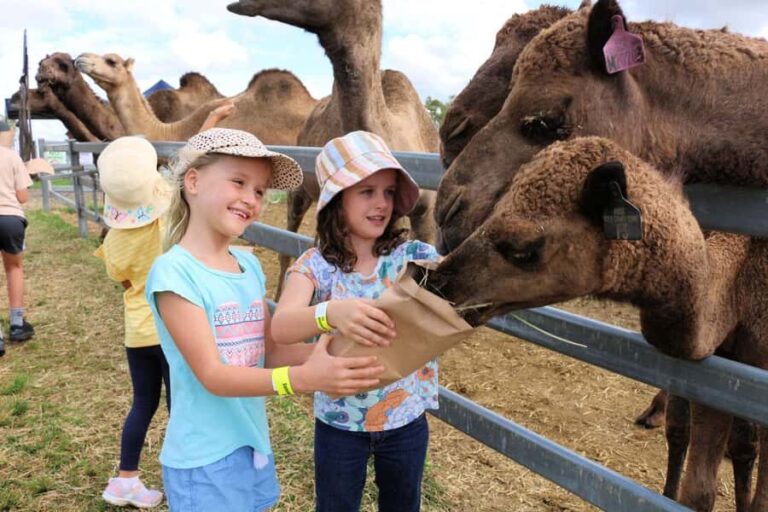 Harrisville: Summer Land Camel Farm Tour with Tasting - Who Would Love This Tour?