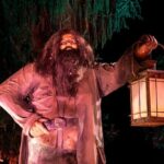 Harry Potter A Forbidden Forest Experience in Brisbane Australia - The Sum Up