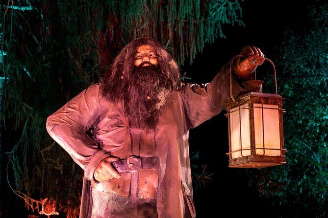 Harry Potter A Forbidden Forest Experience in Brisbane Australia - The Sum Up