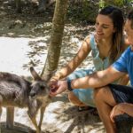 Hartley's Crocodile Adventures: Zootastic 5 + Entry Ticket - The Experience in Detail