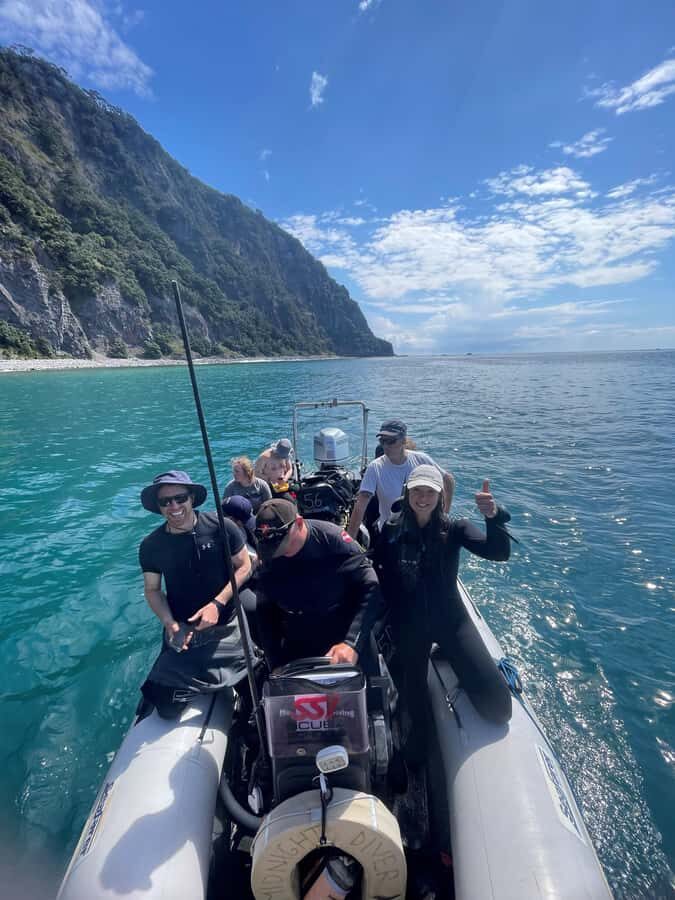 Hauraki Gulf: Hammerhead Experience Dive Charter - Diving Experience and Group Dynamics