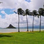 Hawaii Circle Island Tour - Value for Money and Practical Details