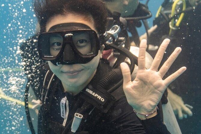 Hawaii DISCOVER Beginner + Certified 2 Tank Shallow Scuba Diving - Who Is This Tour Best For?