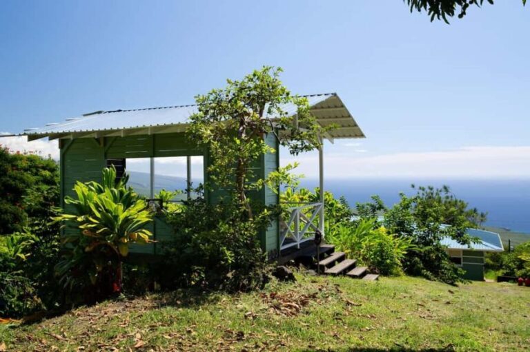 Hawaii: Hala Tree Coffee Farm Tour and Tasting - Is It Worth the Price?