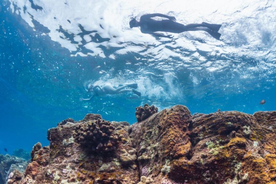 Hawaii: Pu'uhonua O Honaunau & Kealakekua Bay Snorkel Tour - The Practical Side: What’s Included and What’s Not