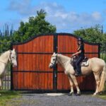 Hawaii: Small Group Rainforest Trail Ride - Exploring the Rainforest on Horseback: What’s in Store