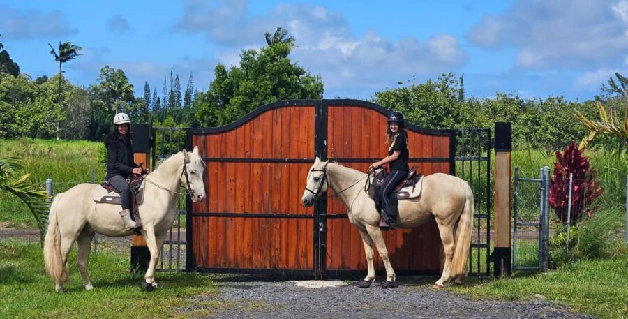 Hawaii: Small Group Rainforest Trail Ride - Exploring the Rainforest on Horseback: What’s in Store
