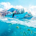 Hawaii Snorkeling with Turtles Boat Tour in Waikiki - The Experience Itself: A Closer Look